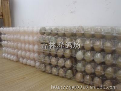 四平青年图片