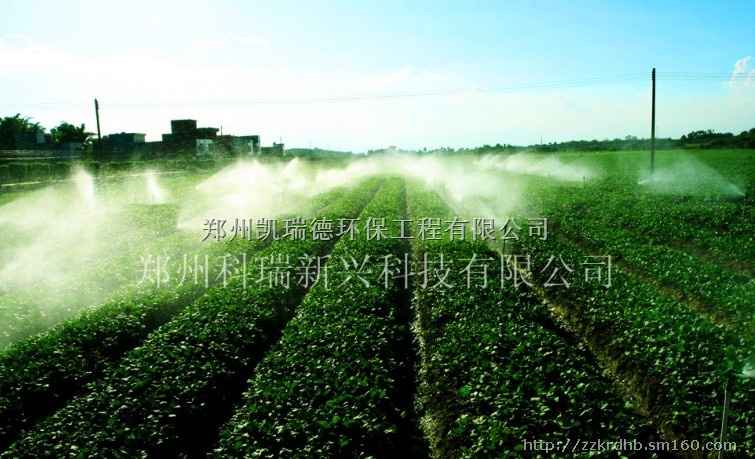 农业灌溉,农业节水,灌溉技术,郑州凯瑞德生产制