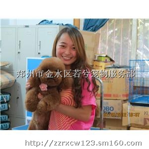 郑州宠物美容师培训厂家讲述宠物美容师现状,