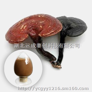 【烟酰胺维生素B3维生素PP烟碱酰胺】