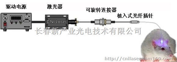 光遗传学用激光器