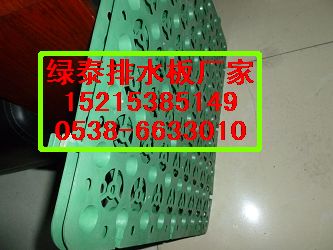 P1020136.JPG