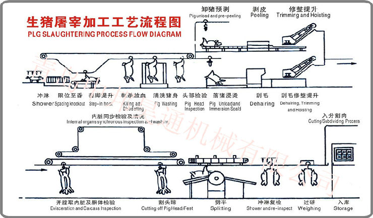 猪牛羊屠宰流程工艺图-屠宰场机械---中邦昊通