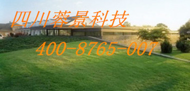 植草格1.jpg