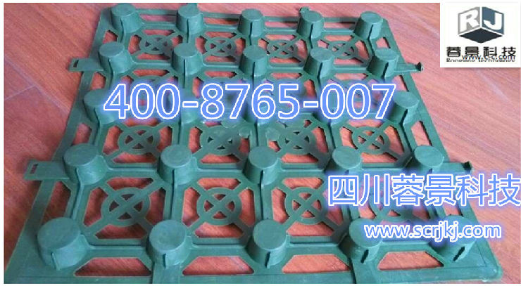 00000_副本_副本.jpg