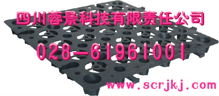 -picture-production-C00000014834-16970-1697020078471528_副本.jpg