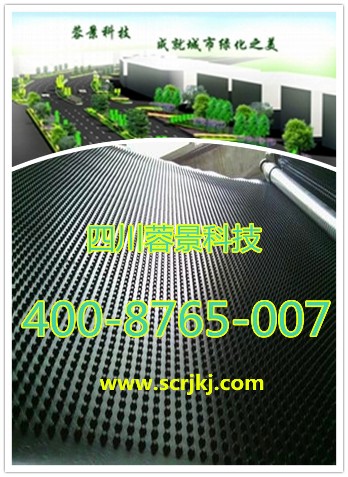 07D8AC14269AE44C965D2161211182C1_500_0_max_jpg_副本.jpg