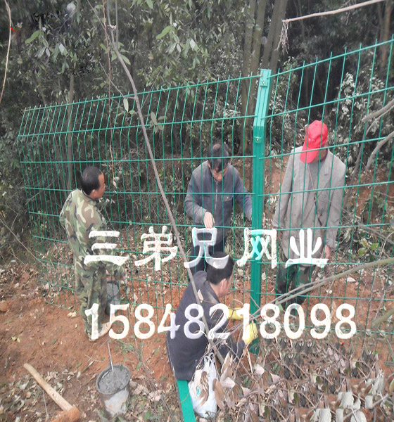双边护栏网 (148).jpg