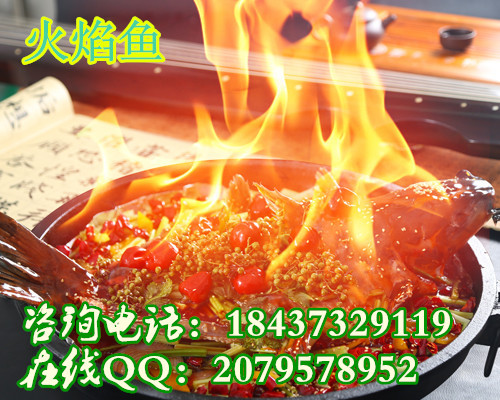鱼3.jpg