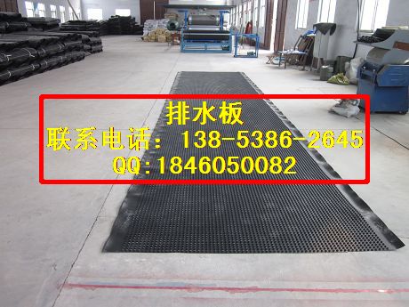 照片 102.jpg