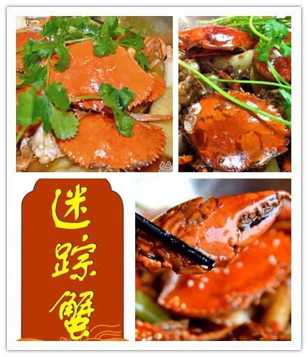 小图 迷踪蟹.jpg